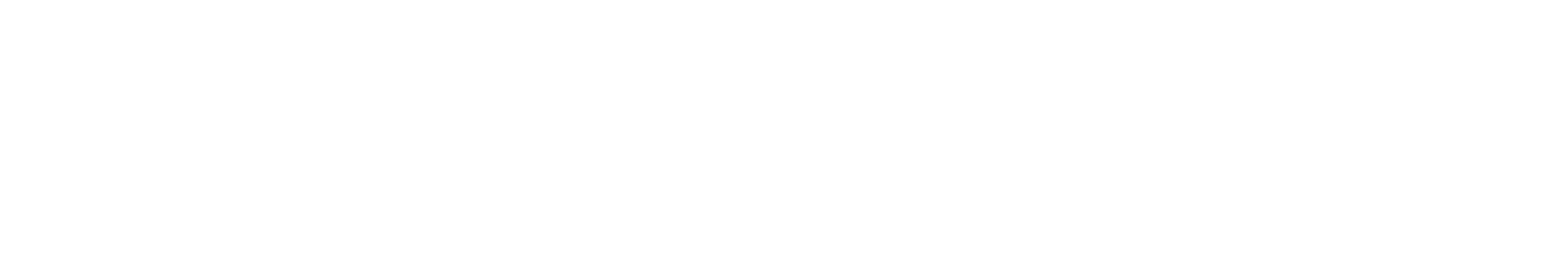 Talentview logo_white